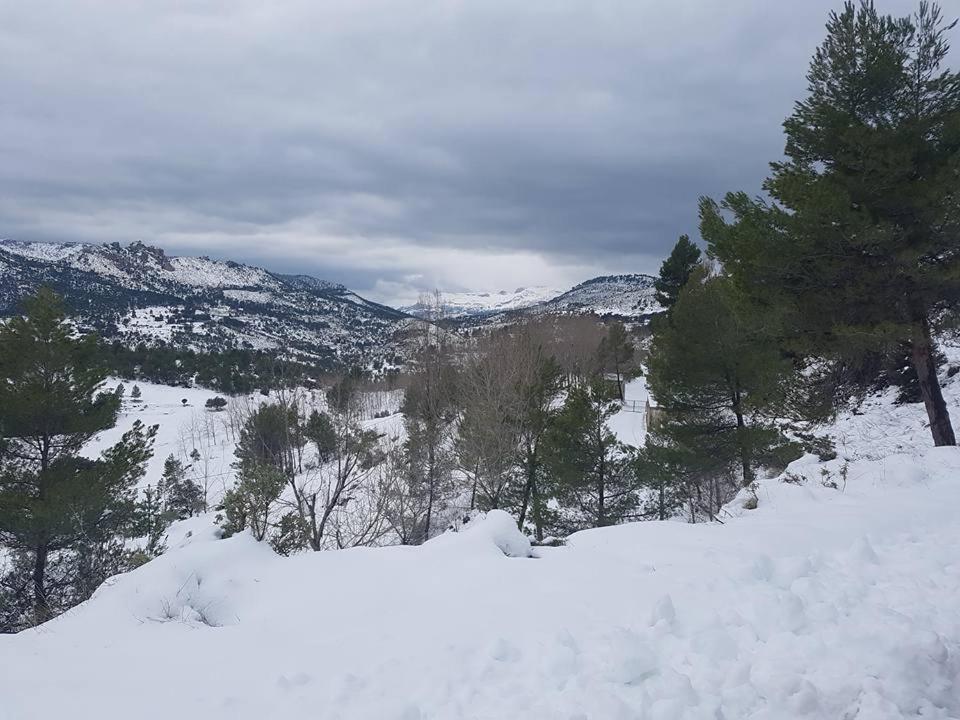 Casas Rurales Camaretas Yeste Kültér fotó