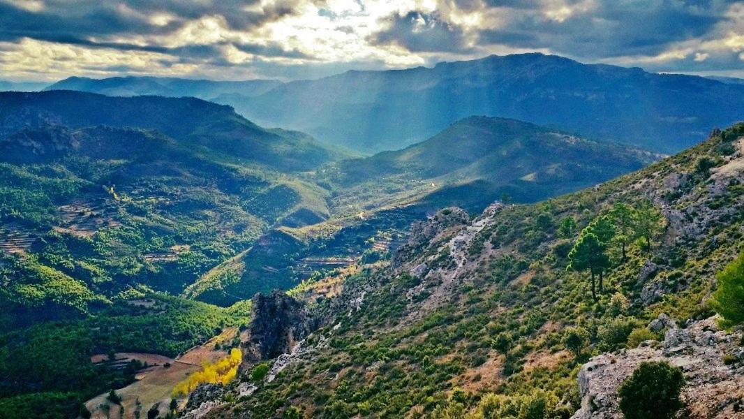 Casas Rurales Camaretas Yeste Kültér fotó